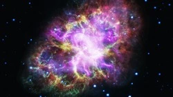 Перемены Дев и конфликты Стрельцов: гороскоп на неделю с 29 июля по 4 августа