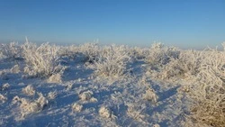 Северный ветер и небольшой снег ожидаются в Сахалинской области 10 января