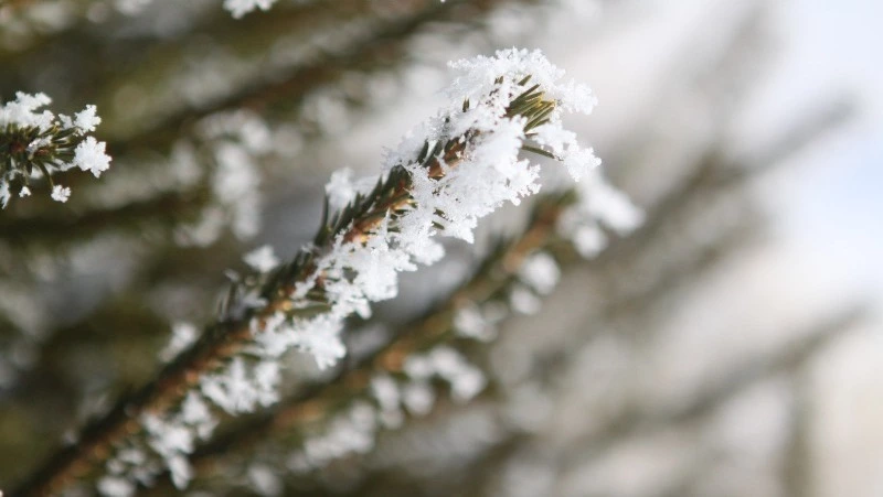 Церковный праздник 29 декабря 2023 года: что строго нельзя делать в этот день