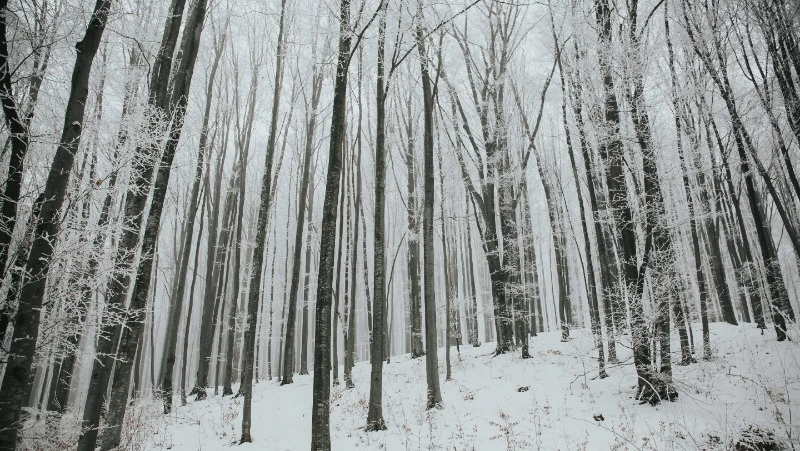 Народные приметы на 8 февраля 2024 года: что нельзя делать в этот день