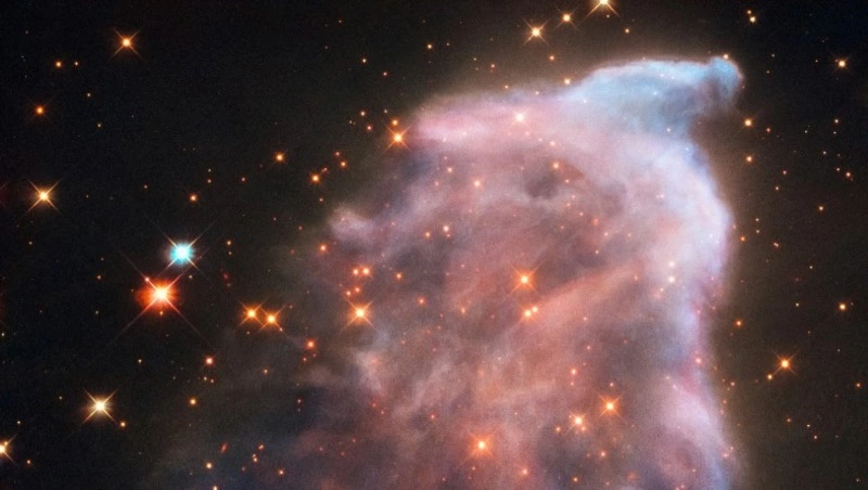 Ежедневный гороскоп на 25 августа 2024 года для всех знаков зодиака