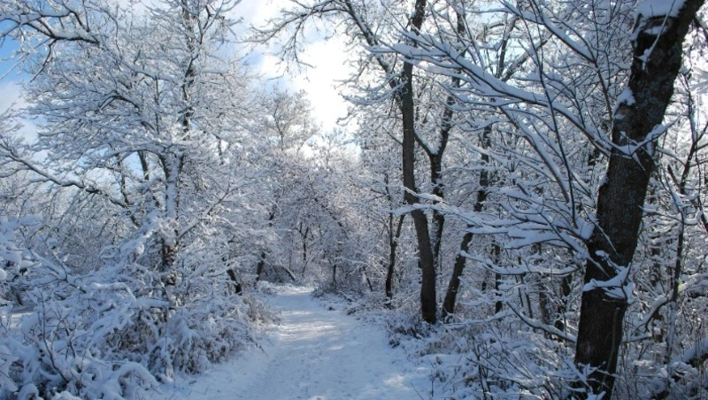 Сильный снег и ветер ожидаются на Сахалине и Курилах 23 января 