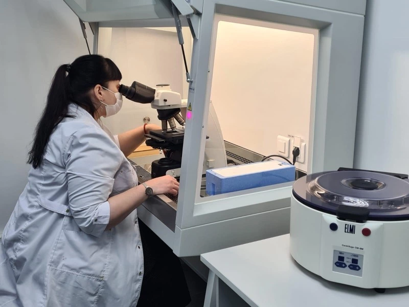 Новые меры поддержки для женщин области