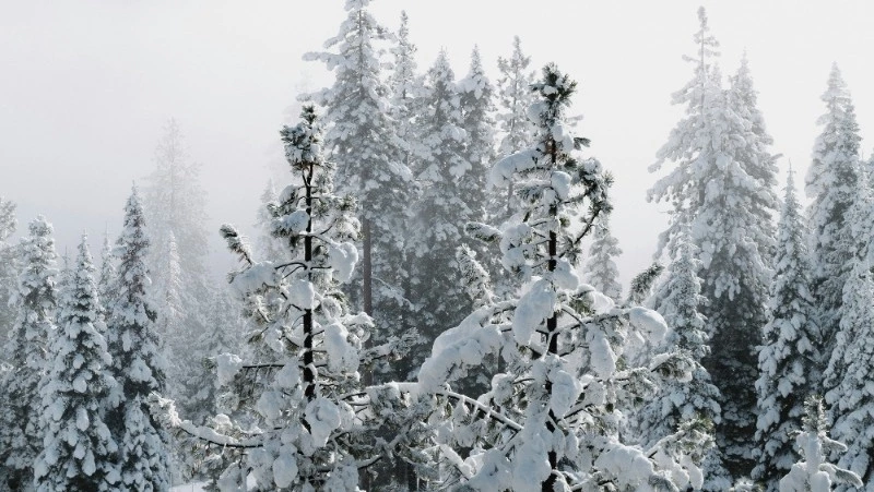 Церковный праздник 26 января 2024 года: что строго нельзя делать в этот день