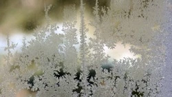 Погода в Сахалинской области 27 февраля: снег и  порывистый ветер до 25 м/с