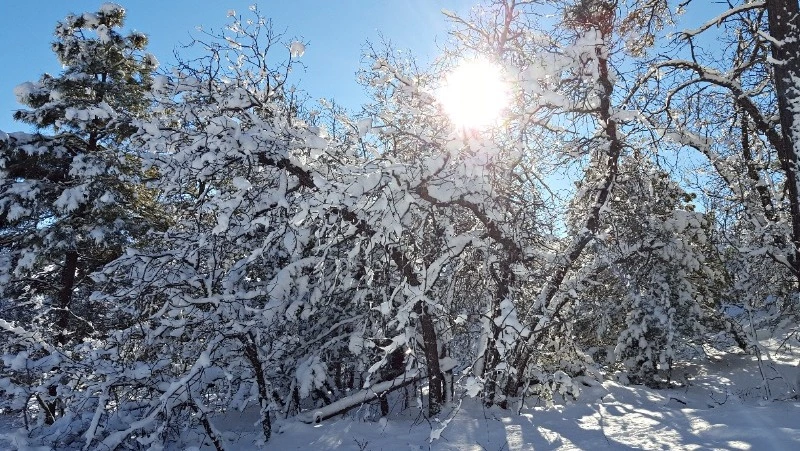 Народные приметы на 1 февраля 2024 года: что нельзя делать в этот день