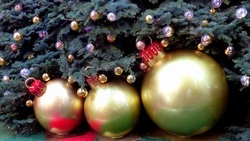 Тест: вы выбираете елку, а мы рассказываем, как вы встретите Новый год