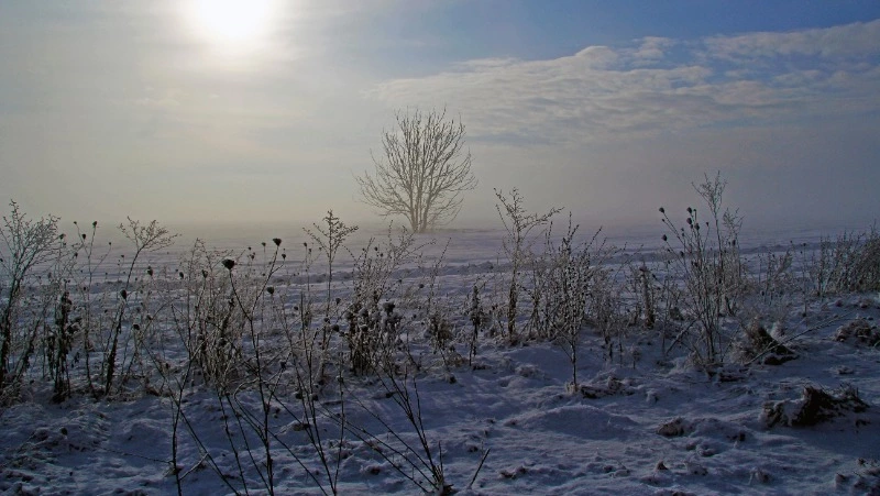 Народные приметы на 12 декабря 2023 года: что нельзя делать в этот день