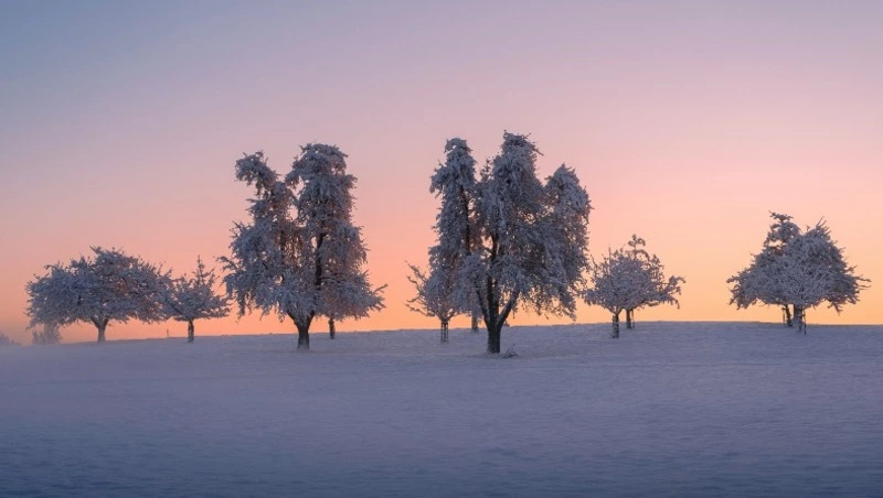 Народные приметы на 25 января 2024 года: что нельзя делать в этот день