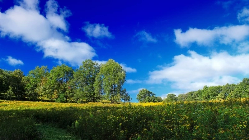 Похолодание придет в Сахалинскую область 16 августа 