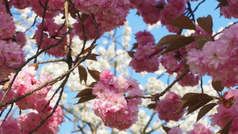 Народный и церковный праздник 6 марта 2024 года: что нельзя делать в этот день