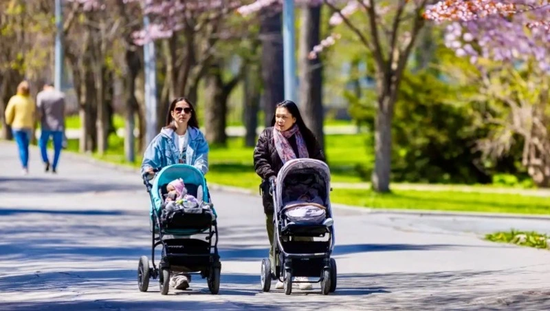 В Северо-Курильске и на Сахалине: меры поддержки семей с детьми остаются в силе