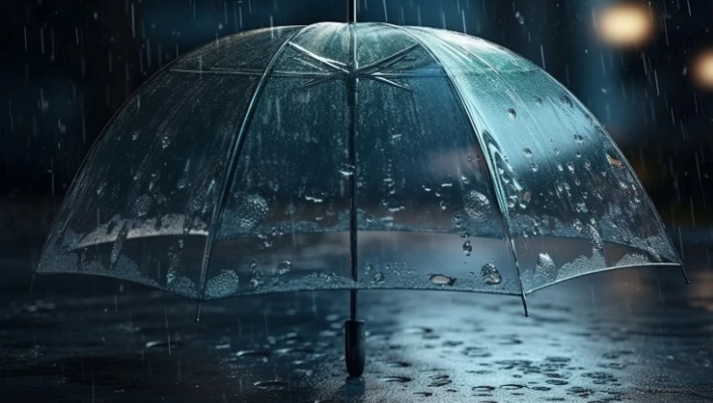 Умеренные осадки и порывистый ветер ожидаются в Сахалинской области 7 декабря