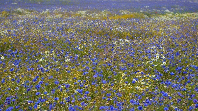 Церковный праздник 28 июня 2024: что строго нельзя делать, приметы 