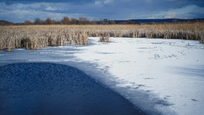 Умеренный снег и ветер ожидаются на Сахалине и Курилах 3 апреля