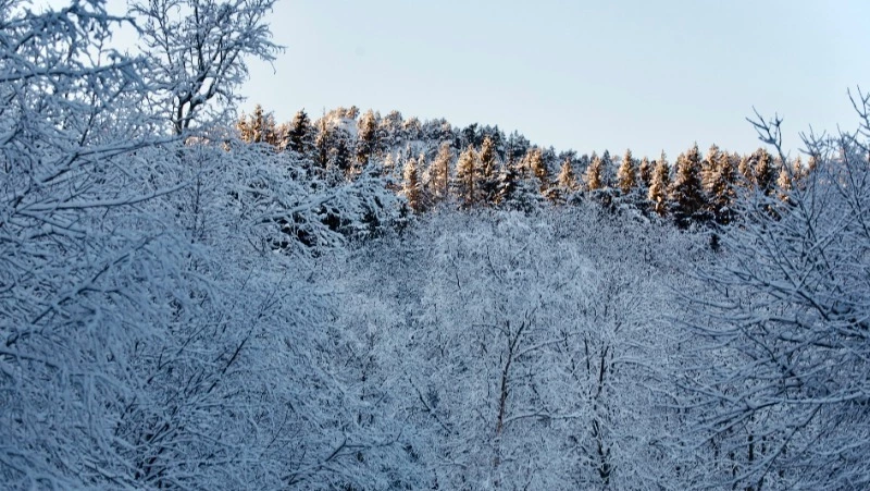 Церковный праздник 13 февраля 2024 года: что строго нельзя делать в этот день
