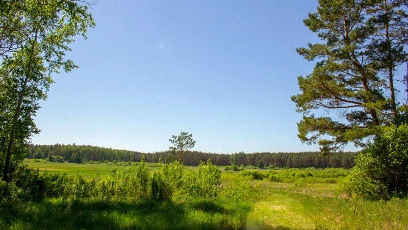 Дождь и туман ожидаются на Сахалине и Курилах 9 июля