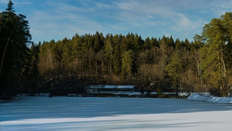 Небольшой снег и сильный ветер: прогноз погоды на Сахалине и Курилах на 20 марта 