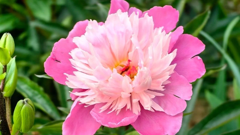 Небольшой дождь и до 22 градусов тепла ожидается на Сахалине и Курилах 11 июля