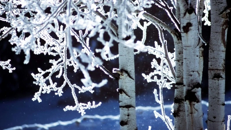 Церковный праздник 29 января 2024 года: что строго нельзя делать в этот день