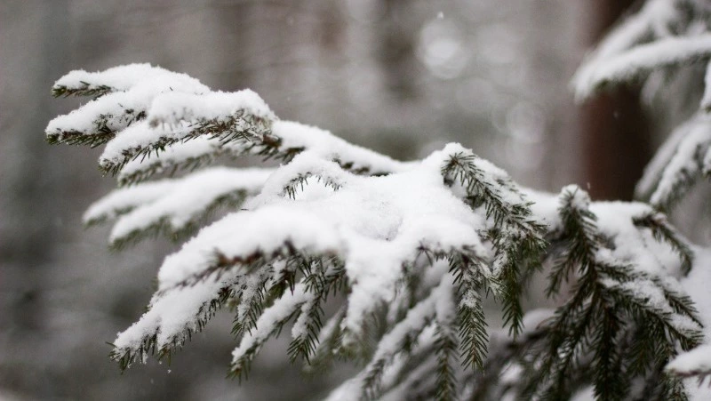 Народные приметы на 1 декабря 2023 года: что нельзя делать в этот день