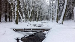 Погода в Северо-Курильске и Сахалинской области на 30 ноября: снег и сильный ветер