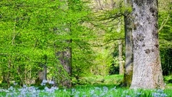 Умеренный дождь и ветер ожидаются на Сахалине и Курилах 19 апреля