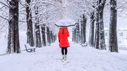 Дождь, снег и сильный ветер: прогноз погоды в Сахалинской области на 28 ноября