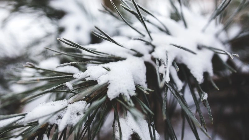 Церковный праздник 29 ноября 2023: что строго нельзя делать в этот день