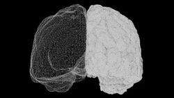 Вы в числе «лучших умов» мира, если наберете 9/9 — ТЕСТ