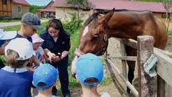 На Сахалине организовали познавательный отдых для детей в рамках акции «Безопасные каникулы»