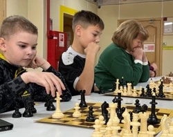 Шахматы: мышление и стратегия