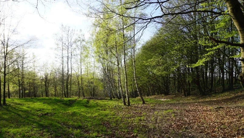 Прогноз погоды на Сахалине и Курилах на 23 апреля