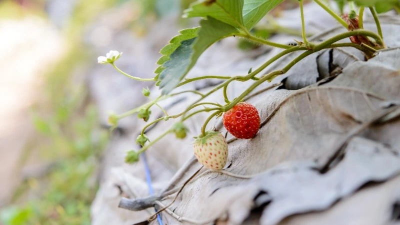 Народные приметы на 22 июня 2024 года: что нельзя делать в этот день