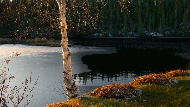 Штормовой ветер и осадки ожидаются на Сахалине и Курилах 11 апреля