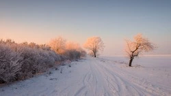 Снег и ветер до 18 м/с ожидаются на Сахалине и Курилах 
