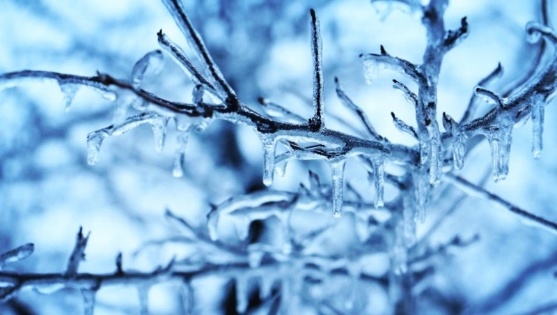 Церковный праздник 15 января 2024 года: что строго нельзя делать в этот день