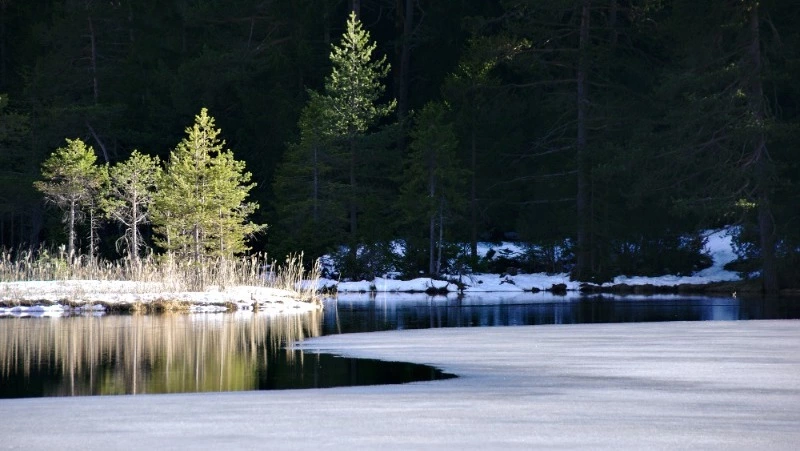 Глубокий циклон принесет снег и ветер на Сахалин и Курилы