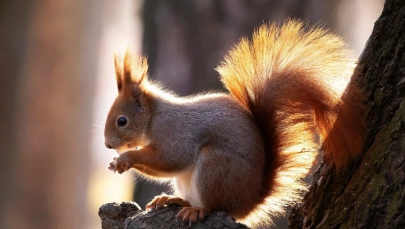 Народные приметы на 10 апреля 2024 года — что нельзя делать в этот день