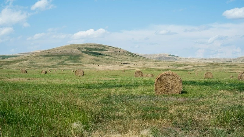 Церковный праздник 10 июля 2024: что строго нельзя делать, приметы