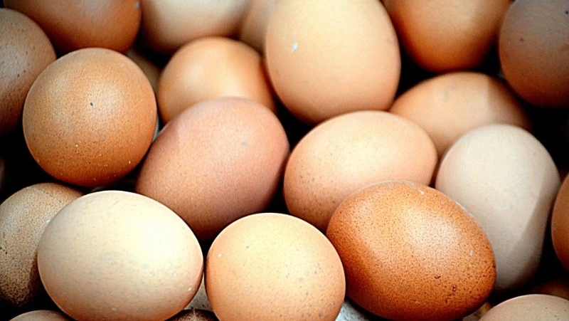 Сколько яиц можно есть в день: советы экспертов