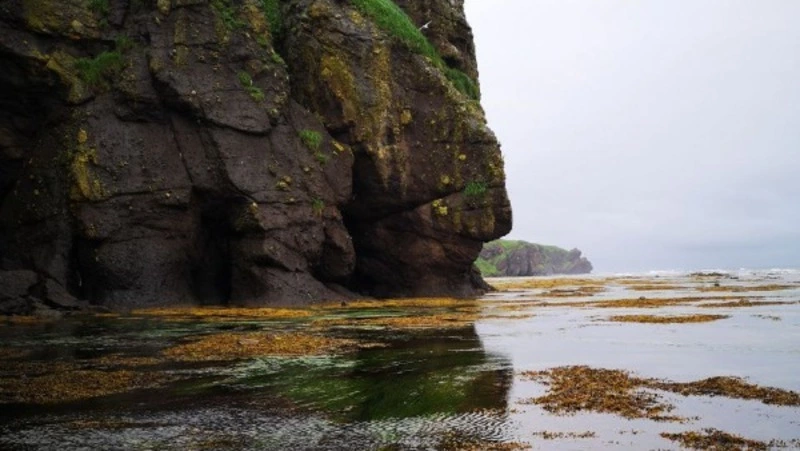 Небольшой дождь пообещали синоптики на Сахалине и Курилах 19 июня
