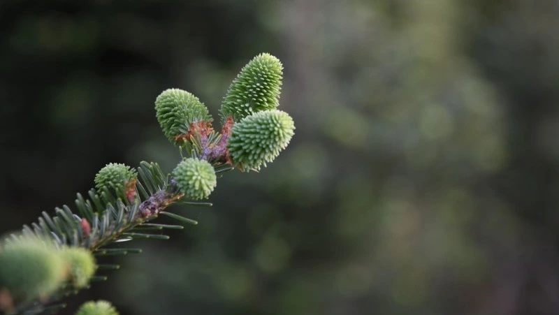 Народные приметы на 23 апреля 2024 года — что нельзя делать в этот день