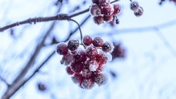 Народные приметы на 1 января 2024 года: что нельзя делать в этот день