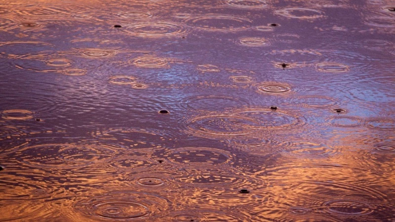 Повышенное давление и дожди: погода в Сахалинской области с 27 июля по 2 августа