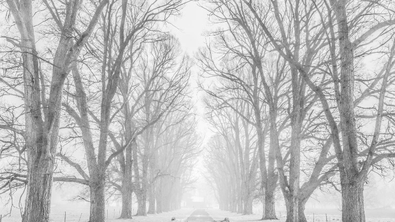 Снег и порывистый ветер ожидаются на Сахалине и Курилах 9 февраля