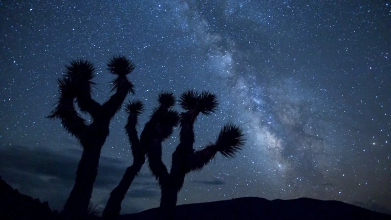 Гороскоп на 8 декабря 2023 года для каждого знака зодиака