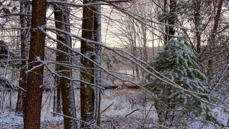 Народные приметы на 28 февраля 2024 года: что нельзя делать в этот день