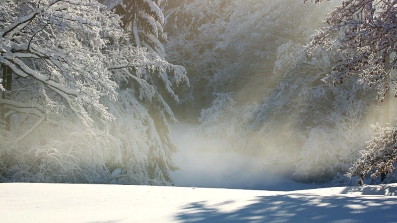 Народные приметы на 9 декабря 2023 года: что нельзя делать в этот день