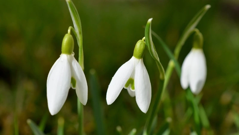 Народные приметы на 13 марта 2024 года: что нельзя делать в этот день